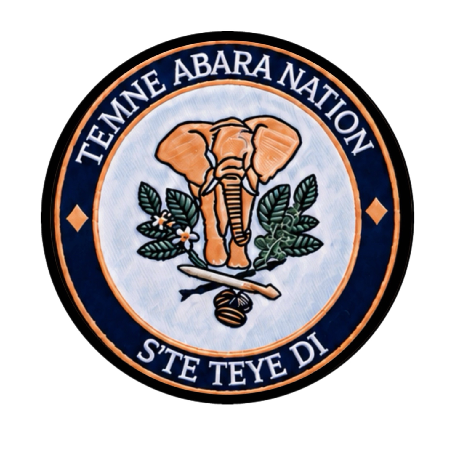 Temne Abara Nation seal